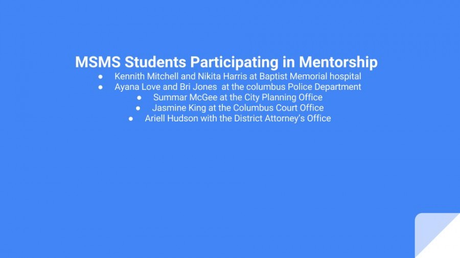 A handful of mentorship positions found through MSMS. 