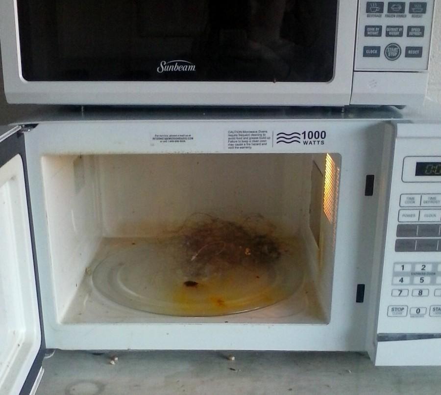 A grizzly photo shared by LaToya Bledsoe, Goen Hall Director, of the second floor lobbys microwave filled with a swept up hair ball. This is an extreme example of how hall and lobby duty is a necessary part of MSMS residence life.