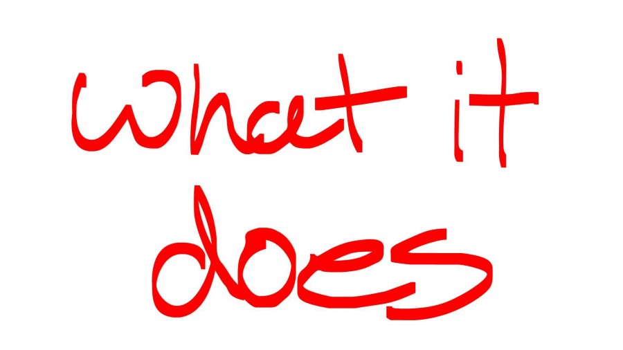 What It Does