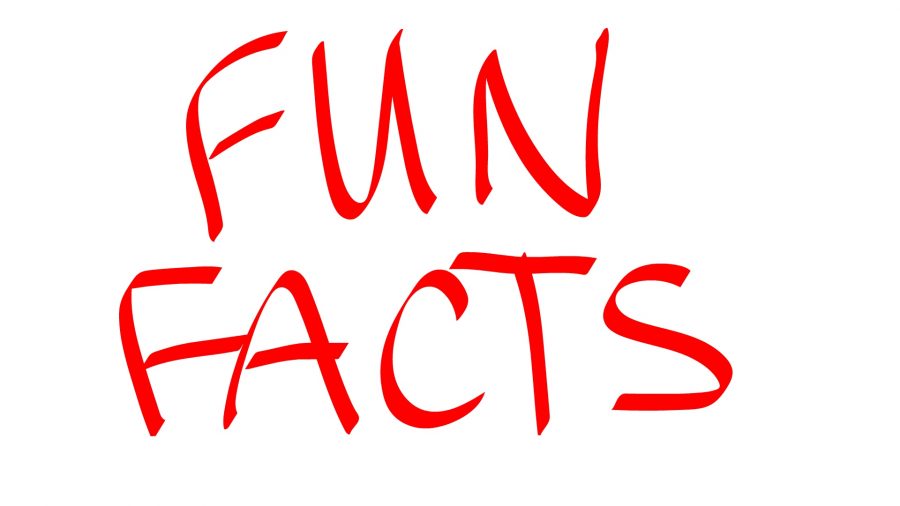 Fun+Facts