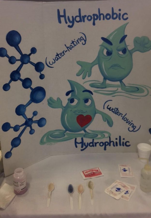 One of the stations described the difference between hydrophobic and hydrophilic interactions.
