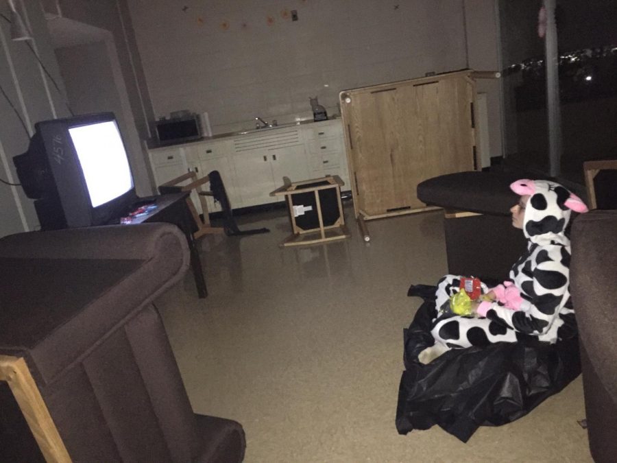 This floor was filled with many odd things like this cow watching a static T.V. 