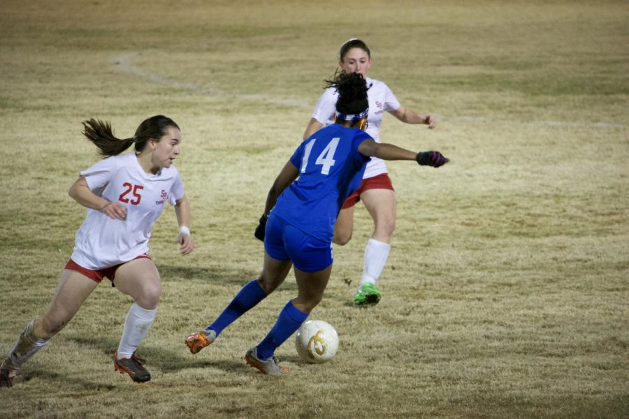 Lady Waves Fight Final Battle in Playoff Loss