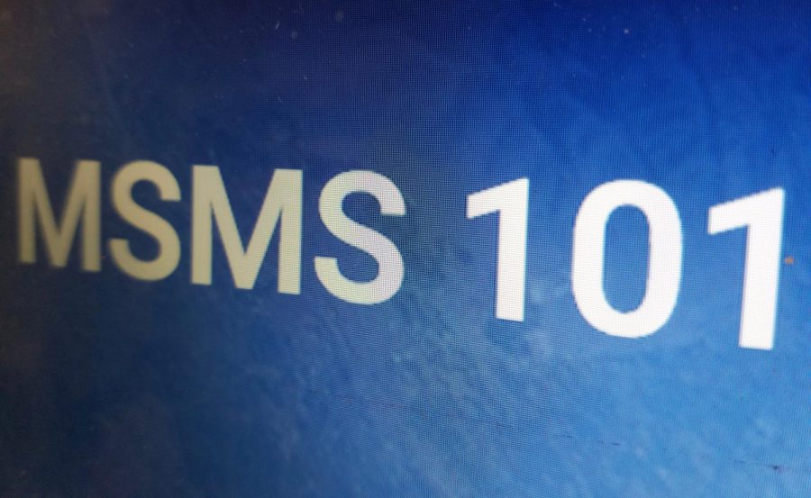 A picture of MSMS 101 is the only thing that will surely make an MSMS student happy. 