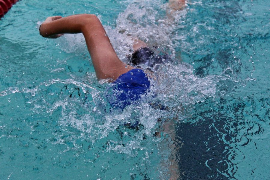 Breanna Herd swimming Freestyle Stroke in a 50M Free Sprint.