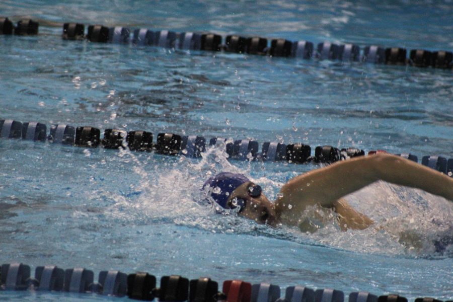 Cale Upton finishes off the IM with a 50M Freestyle.