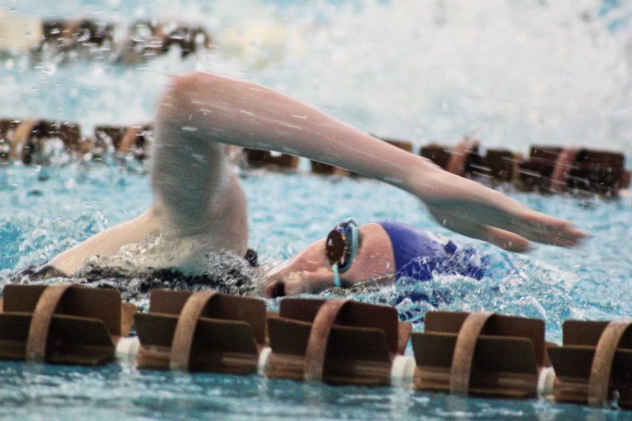 Andie Nanny sprints a 50M Freestyle.