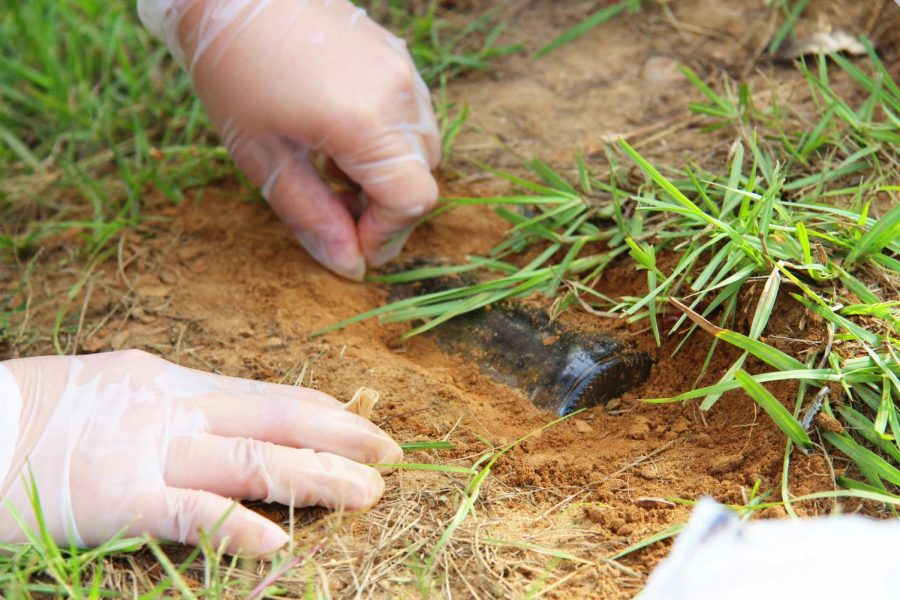 Catherine Boltz spotted a glass bottle buried in the ground and begins to dig at it.