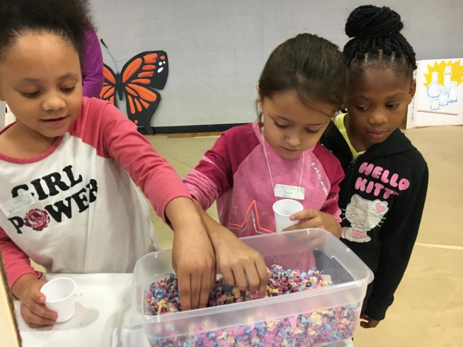 Students from New Hope Elementary School participate in camouflage activities.