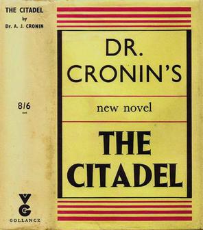 The Citadel by Alan Cronin