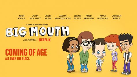 TV Review: Big Mouth