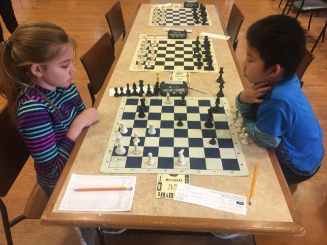 Students Sweep Regional Chess Tournament