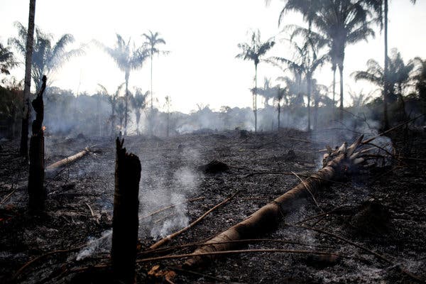 The Amazon is the worlds largest rainforest. Right now, its on fire.