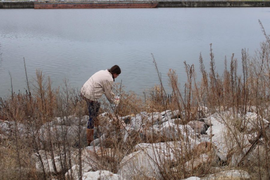 Kate McElhinney searches for trash that has fallen in between the rocks near the water.