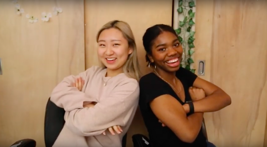 Juniors Clare Seo and Adriana Mays created their YouTube channel to educate prospective MSMS students.