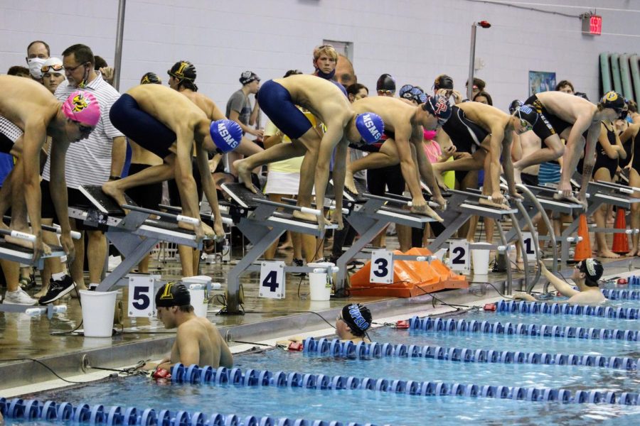 Four MSMS swimmers have already qualified for the North State swim meet. 