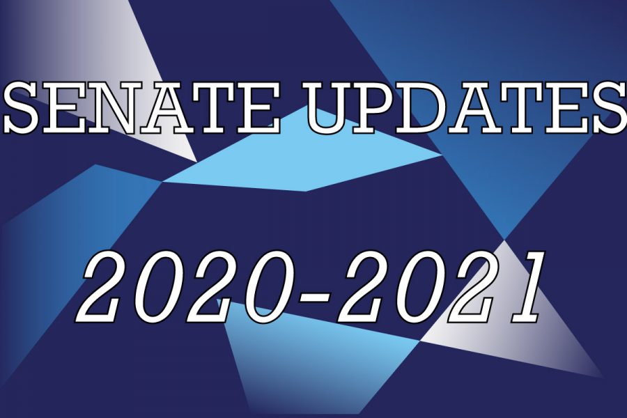 Senate has continued its duties this year, holding virtual meetings over Zoom.