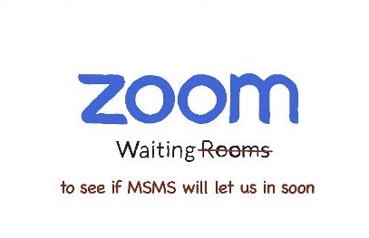 MSMS Admissions has hosted Zoom webinars with senior Emissaries to talk about MSMS.