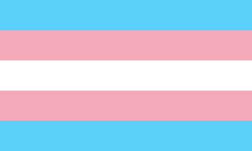 Trans Awareness Week is meant to bring light to issues affecting transgender individuals. 