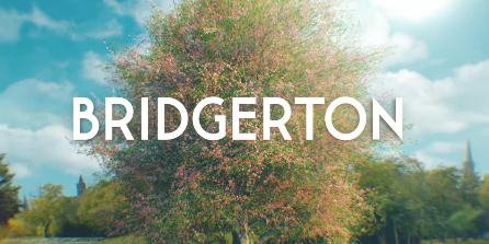 Based on an eight book series, Bridgerton follows the love lives of the Bridgerton children. Season one focuses on the eldest daughter, Daphne. 