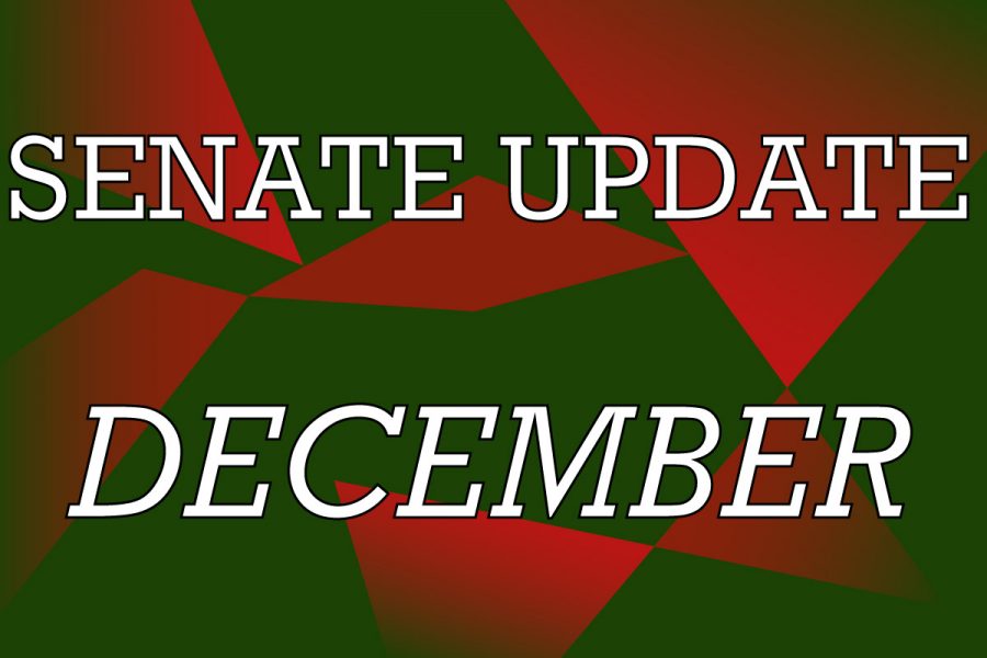 At the end of last semester, there were numerous bills and resolutions presented to the Senate. 