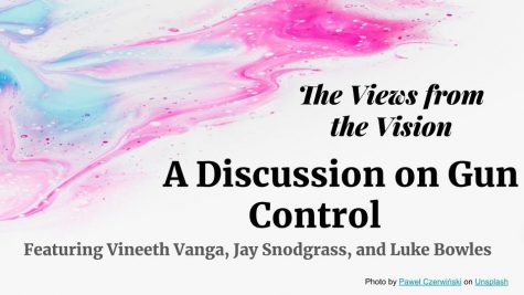 Views from the Vision - A Discussion on Gun Control