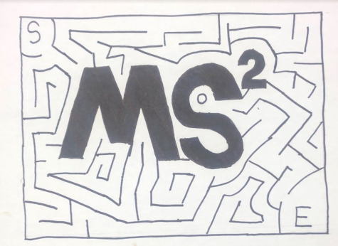 Comic: MSMS Squared
