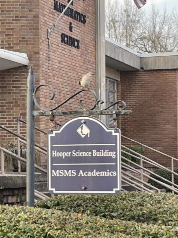At Hooper Science Building, MSMS students learn a variety of academic subjects. This year, MSMS welcomed six new teachers to teach at Hooper Science Building.