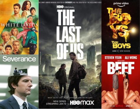 “The White Lotus,” “Severance,” “The Last of Us,” “The Boys” and “BEEF” posters are shown above. These shows came out during 2022 and 2023 and are available to be be streamed on HBO Max, Apple TV, Prime Video and Netflix.