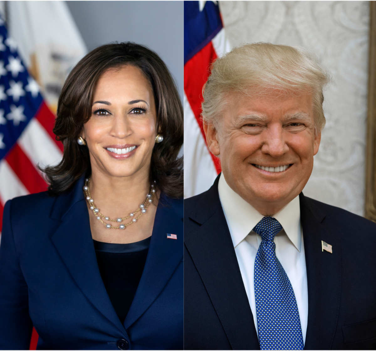 Former President Donald Trump and Vice President Kamala Harris delivered their presidential nomination acceptance speeches at the Republican National Convention and Democratic National Convention on July 19 and Aug. 23, respectively.