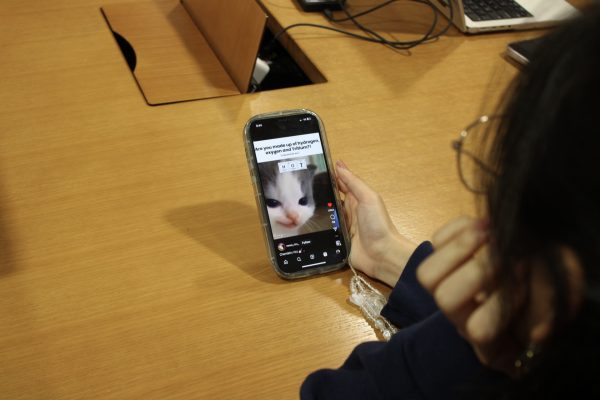 Social media has been shown to have harmful effects on teens, especially students already under academic pressure. 